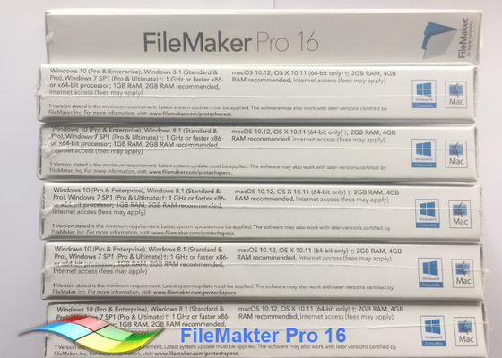 Çin Yazılım FileMaker Pro 16 Yükseltme FPP Paketi% 100 Orijinal Filemaker Pro Windows Tedarikçi