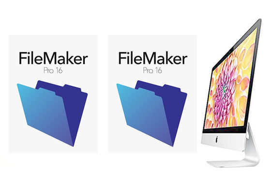 Çin Orijinal FileMaker Pro 16 Perakende Kutusu Paketi MAC için Çok Dilli Tedarikçi